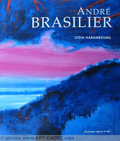 Andr Brasilier - Collection Mise en lumire 
