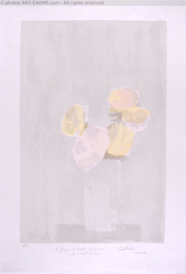 Bouquet rose au fond gris - Pink bouquet on a grey background Clickez pour zoomer
