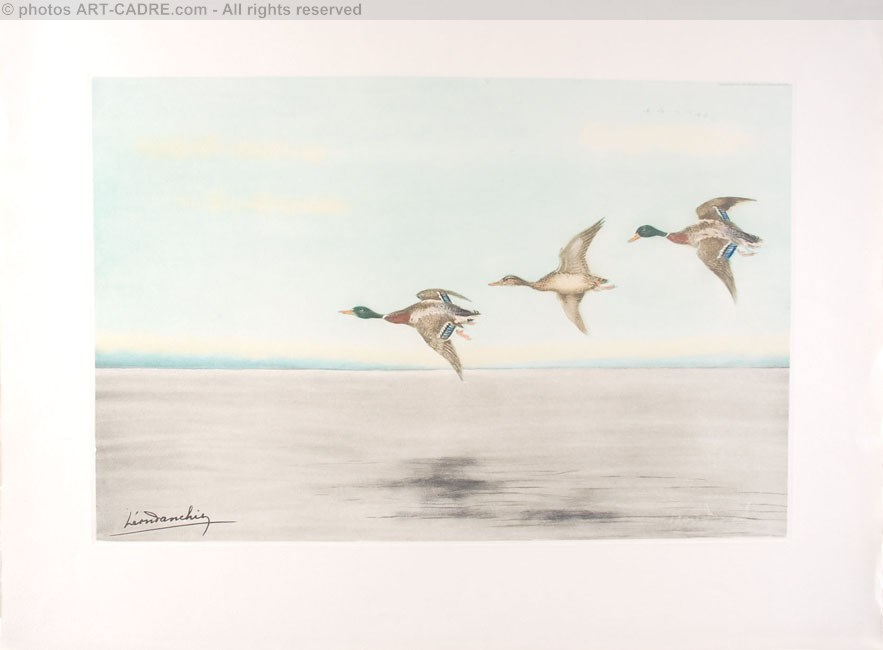 12 Canards au large - Three Ducks flying Clickez pour zoomer