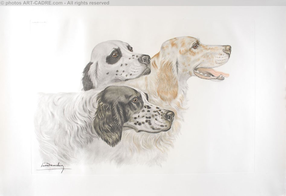 52 Trois Setters - Three English Setters Click to ZOOM