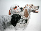 52 Trois Setters - Three English Setters (Original) Click to ZOOM