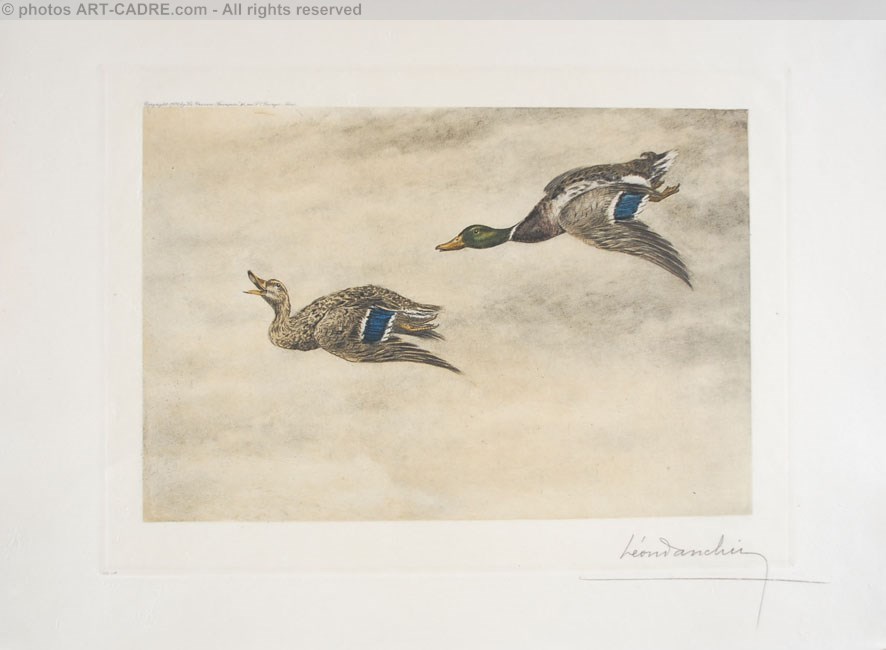 06 Canards de passage - Two passing Ducks (Original) Clickez pour zoomer