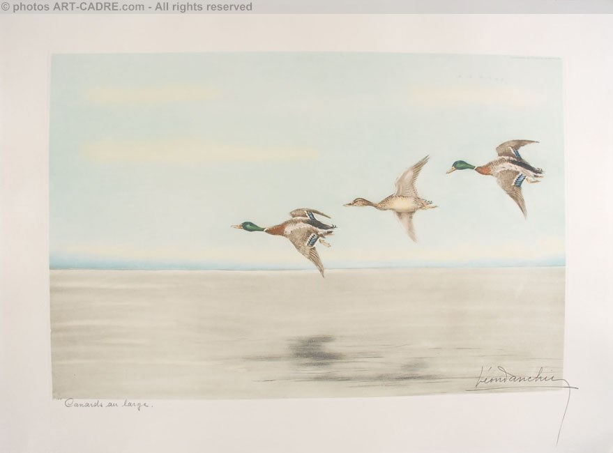 12 Canards au large - Three Ducks flying (Original) Clickez pour zoomer