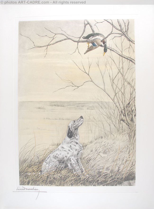 56 Setter et Canard branche - English Setter and Duck in a tree (Original) Click to ZOOM