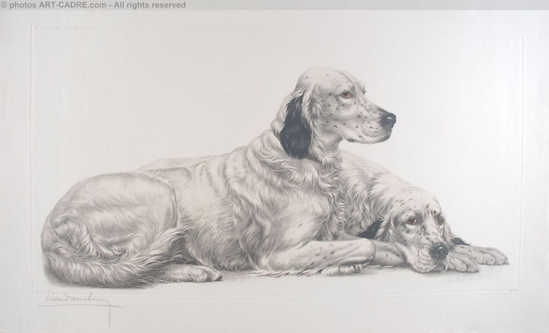 57 Deux Setters couchs (Setters au repos) - Two English Setters at rest (Original) Click to ZOOM