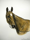 84 Tte de Cheval - Horse head (Original) Click to ZOOM