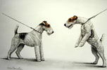 103 Two Fox-Terriers - En Laisse ! Fox-Terriers  poil dur (Original) Clickez pour zoomer