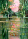 Reflets de nymphas - Reflections of water lilies Clickez pour zoomer