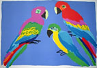 "Perroquets - Parrots" Click to ZOOM